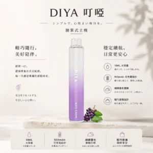 DIYA 叮啞 7500口 拋棄式電子煙｜極致冰爽系列多口味任選，具備不漏油結構、10ml 大容量與 500mAh 可充電設計，口感順滑擊喉