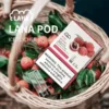 image-289.webp LANA 一代通用煙彈(3顆裝)|具備吸氣即亮炫彩特效與升級陶瓷芯純淨口感,採用 2.5ml 大容量設計,通用一代主機